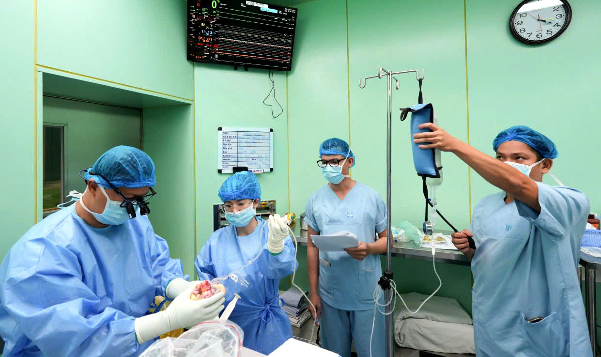 hiến tạng - Ảnh 1.