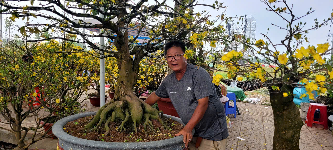 Tình hình kinh tế hoa kiểng tại Đồng Tháp và Cần Thơ năm 2026 - Ảnh 1.