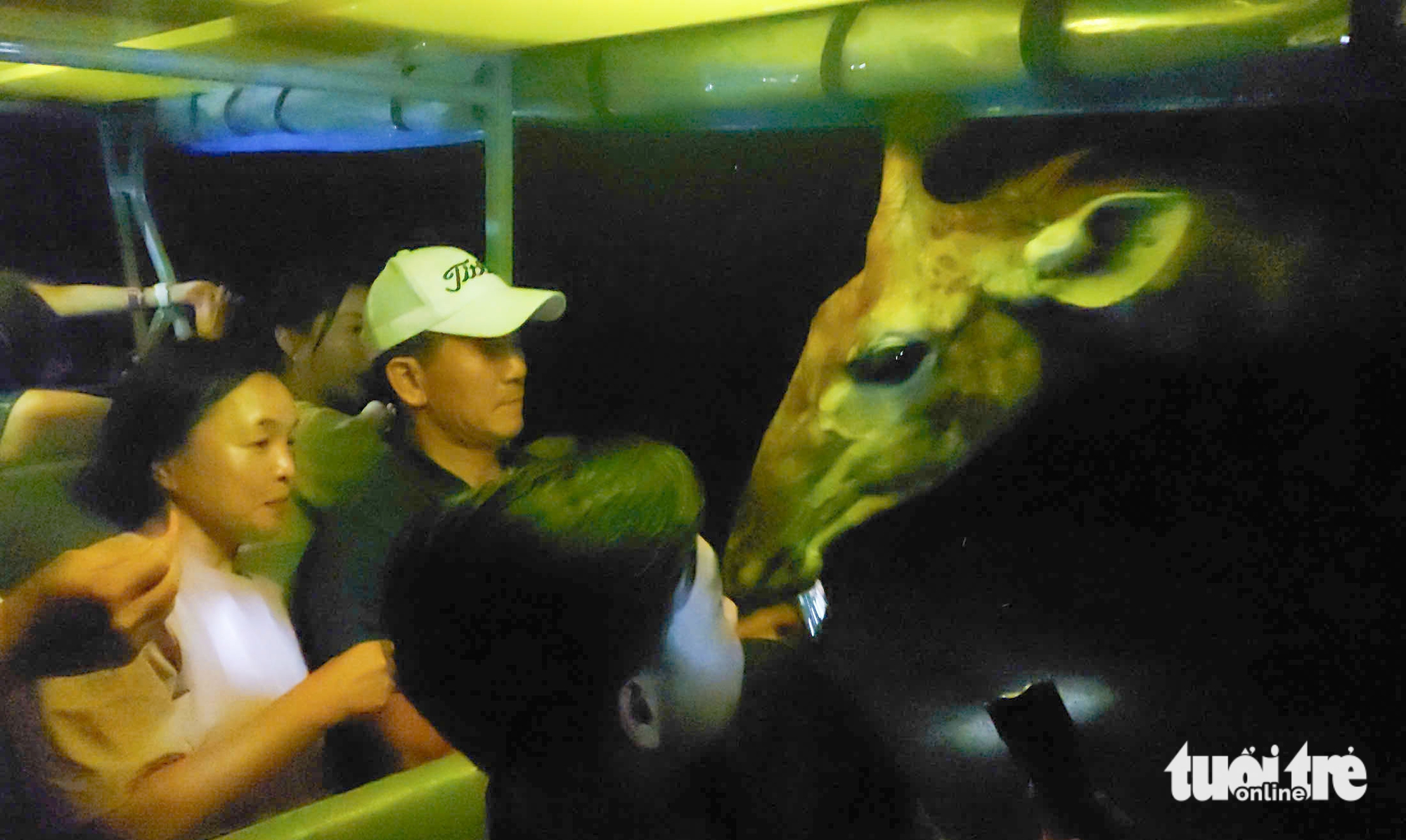 Khách quốc tế mê đi tour đêm xem ngựa vằn, tê giác, linh dương, hươu cao cổ ở Phú Quốc dịp Tết 1 Phú Quốc - Ảnh 1.