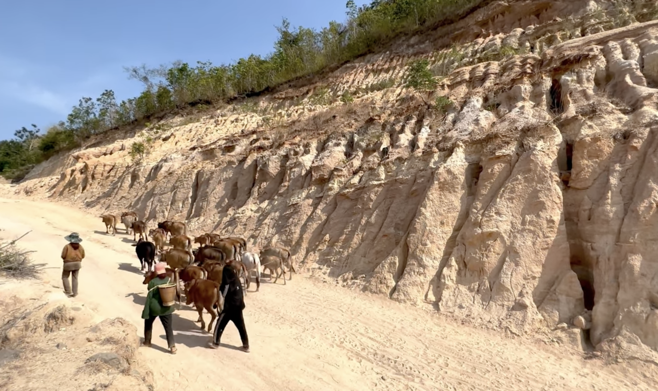 Khám phá dốc Vạn Long – “góc Ai Cập cổ đại” giữa cao nguyên Gia Lai 2 Khám phá dốc Vạn Long – “góc Ai Cập cổ đại” giữa cao nguyên Gia Lai - Ảnh 2.