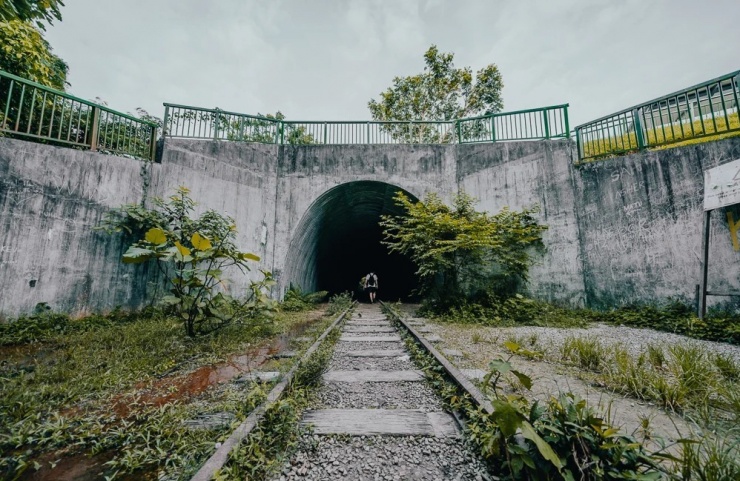 Đường hầm là điểm dừng quen thuộc của nhiều dân địa phương trên tuyến trekking từ Clementi Forest đến Sungei Ulu Pandan. (Ảnh: Cơ quan du lịch Singapore)