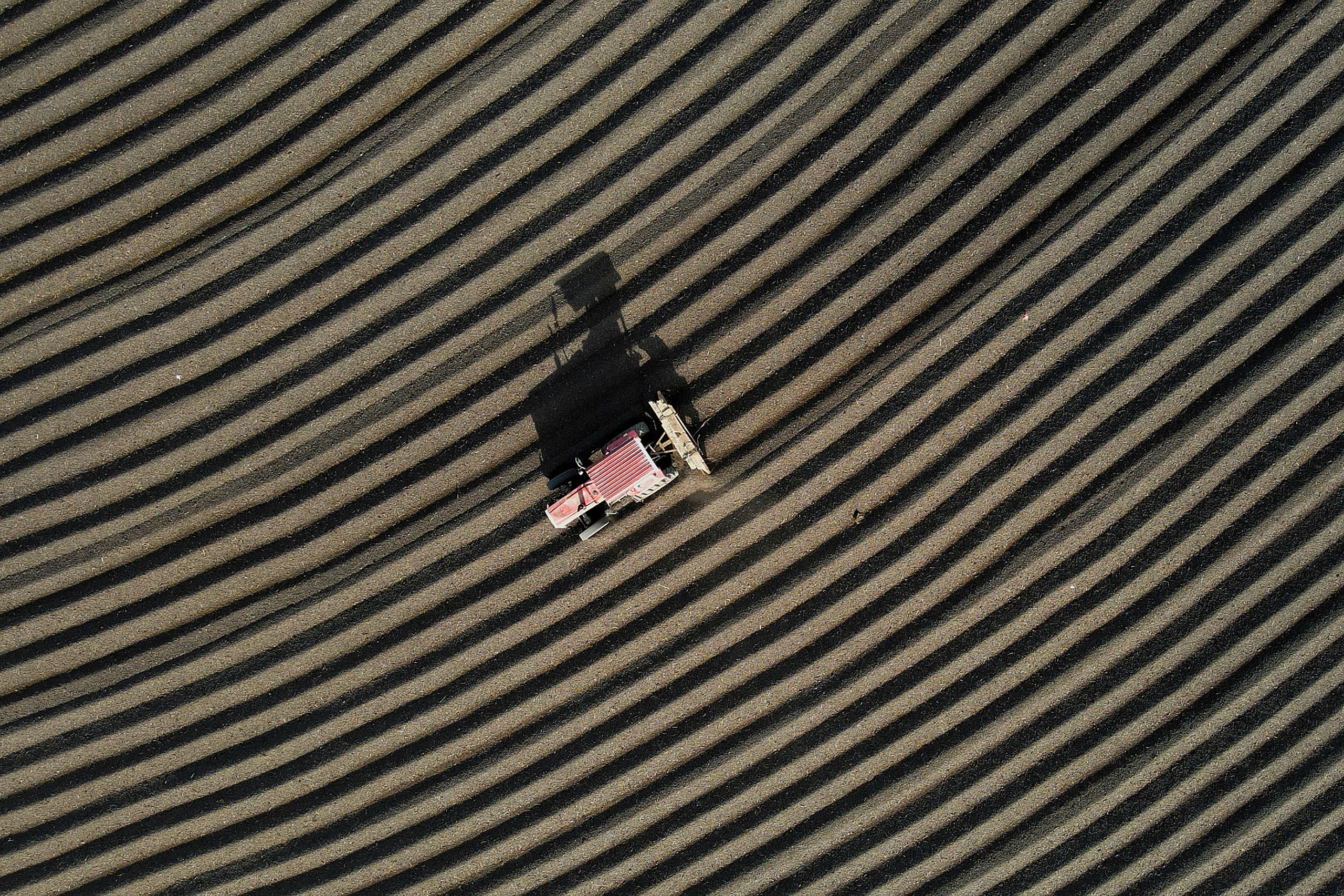 Đưa cà phê Đăk Hà vươn xa - Ảnh 1.