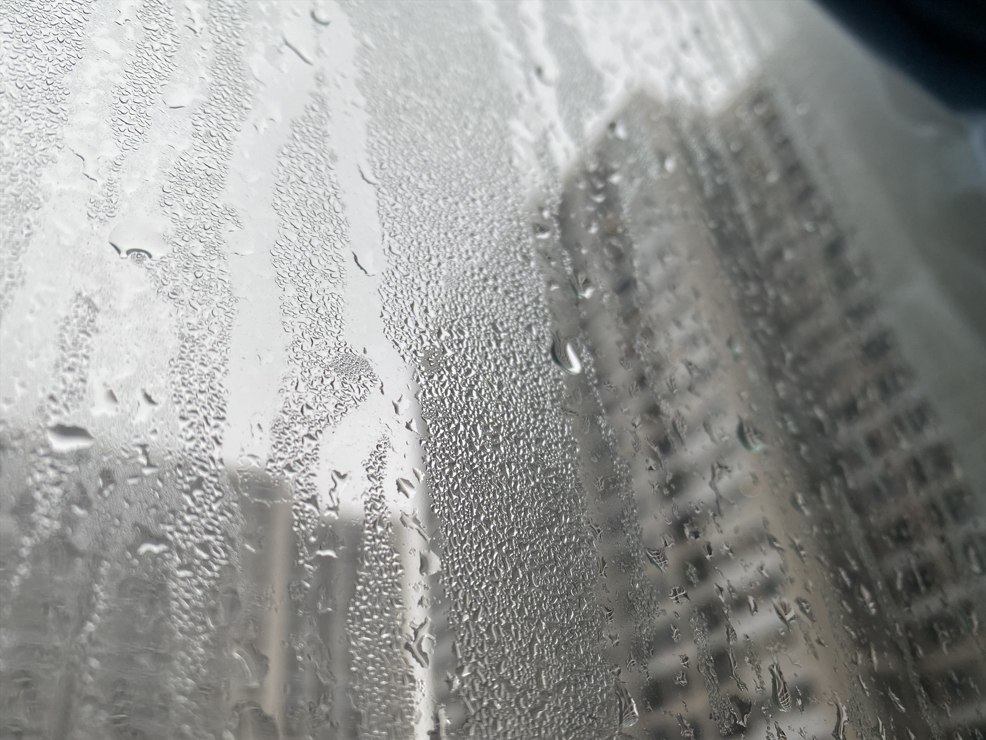 Khi nào trời bắt đầu nồm ẩm?- Ảnh 1.