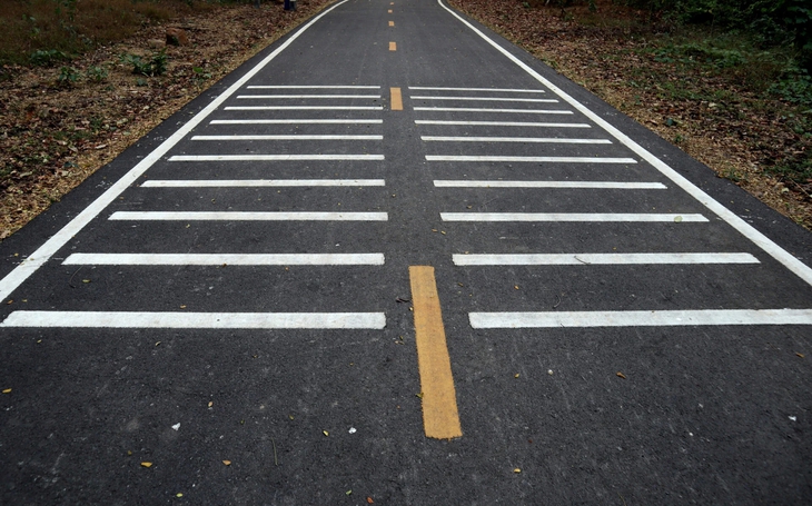 dải rung - Ảnh 1.