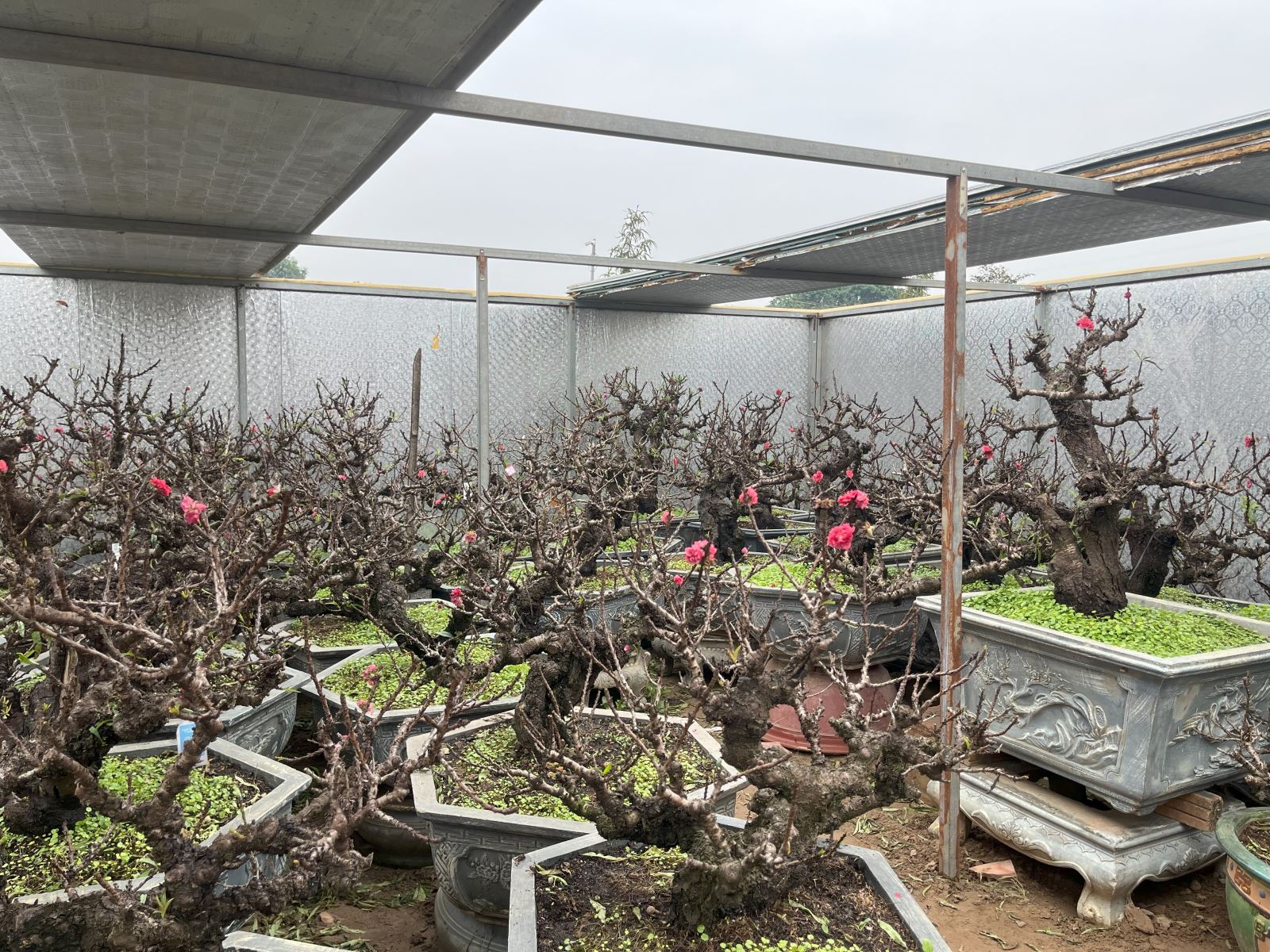 Việt Nam có Việt Nam có