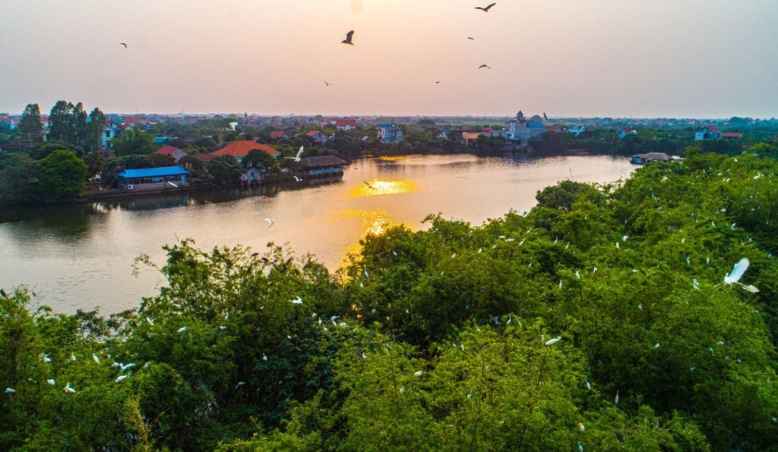 Kỳ bí đảo Cò Hải Dương – 