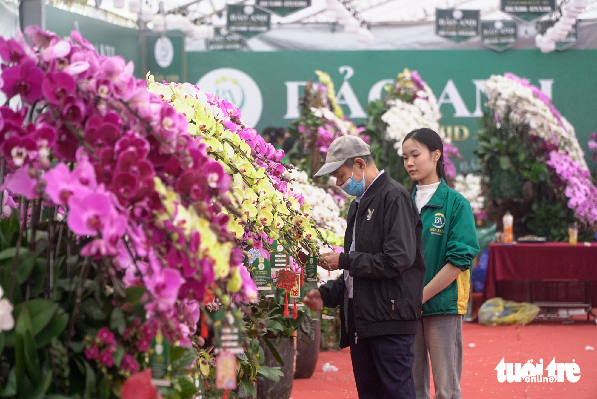 Lan hồ điệp ghép gỗ lũa giá vài chục triệu hút khách dịp Tết - Ảnh 1.