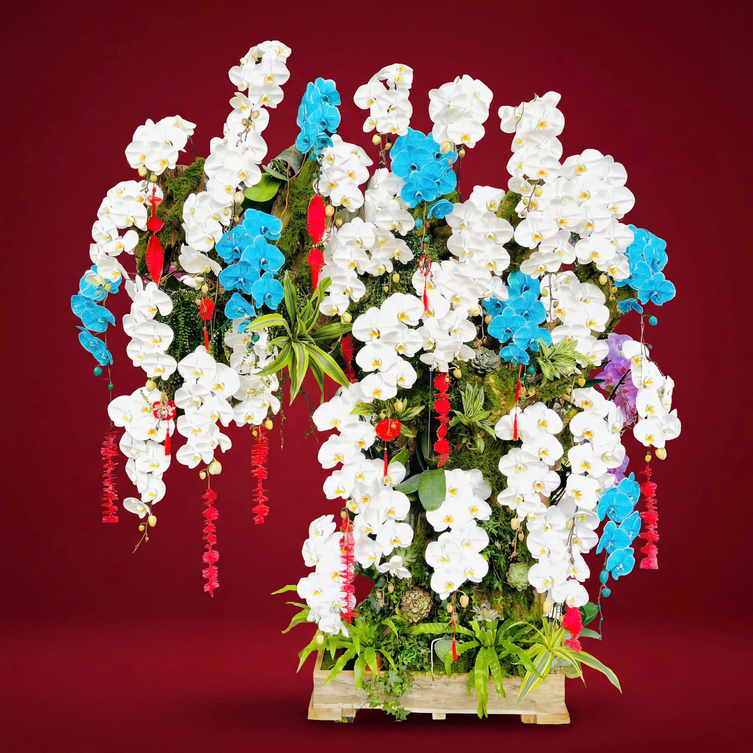 Lan hồ điệp ghép gỗ lũa giá vài chục triệu hút khách dịp Tết - Ảnh 4.