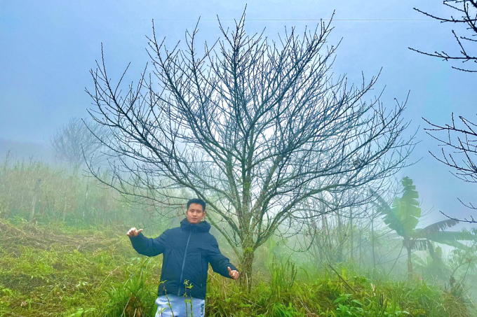 Anh Công bên một vườn đào đá trên đỉnh núi ở xã Na Ngoi. Ảnh: Công Lê