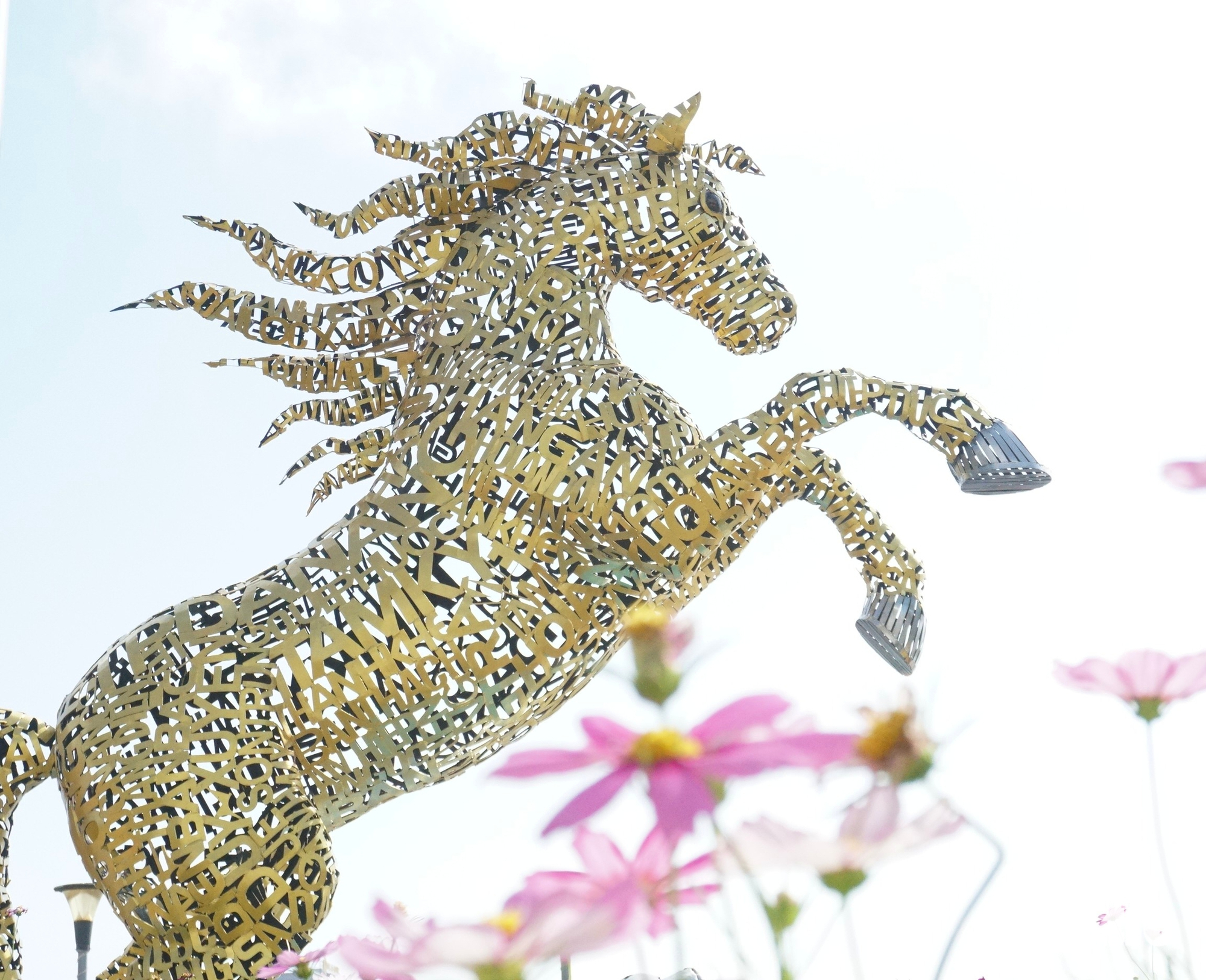 Đà Nẵng - Ảnh 1.