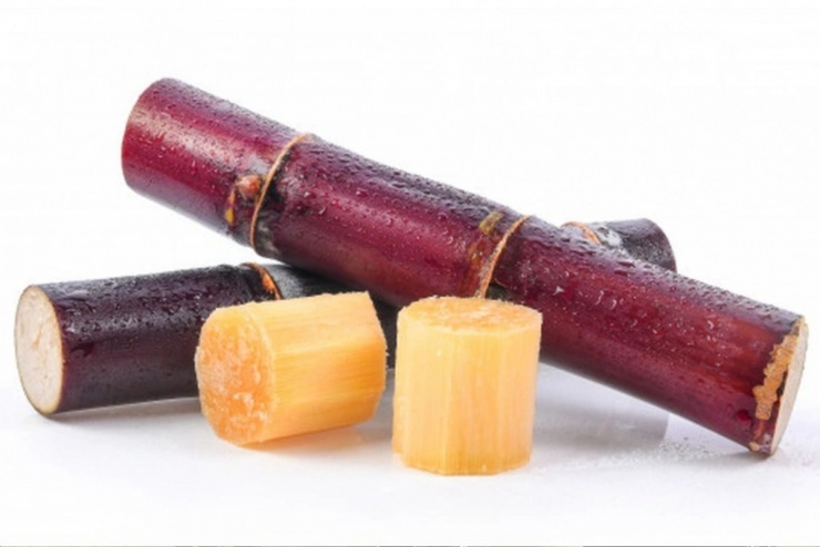 Loại cây ngọt như đường, giúp dưỡng gan bổ thận, một cây cả nhà ăn 1 Mía là loại cây chứa hàm lượng đường tự nhiên, khoáng chất và vitamin thiết yếu. (Ảnh: Thanh Niên)