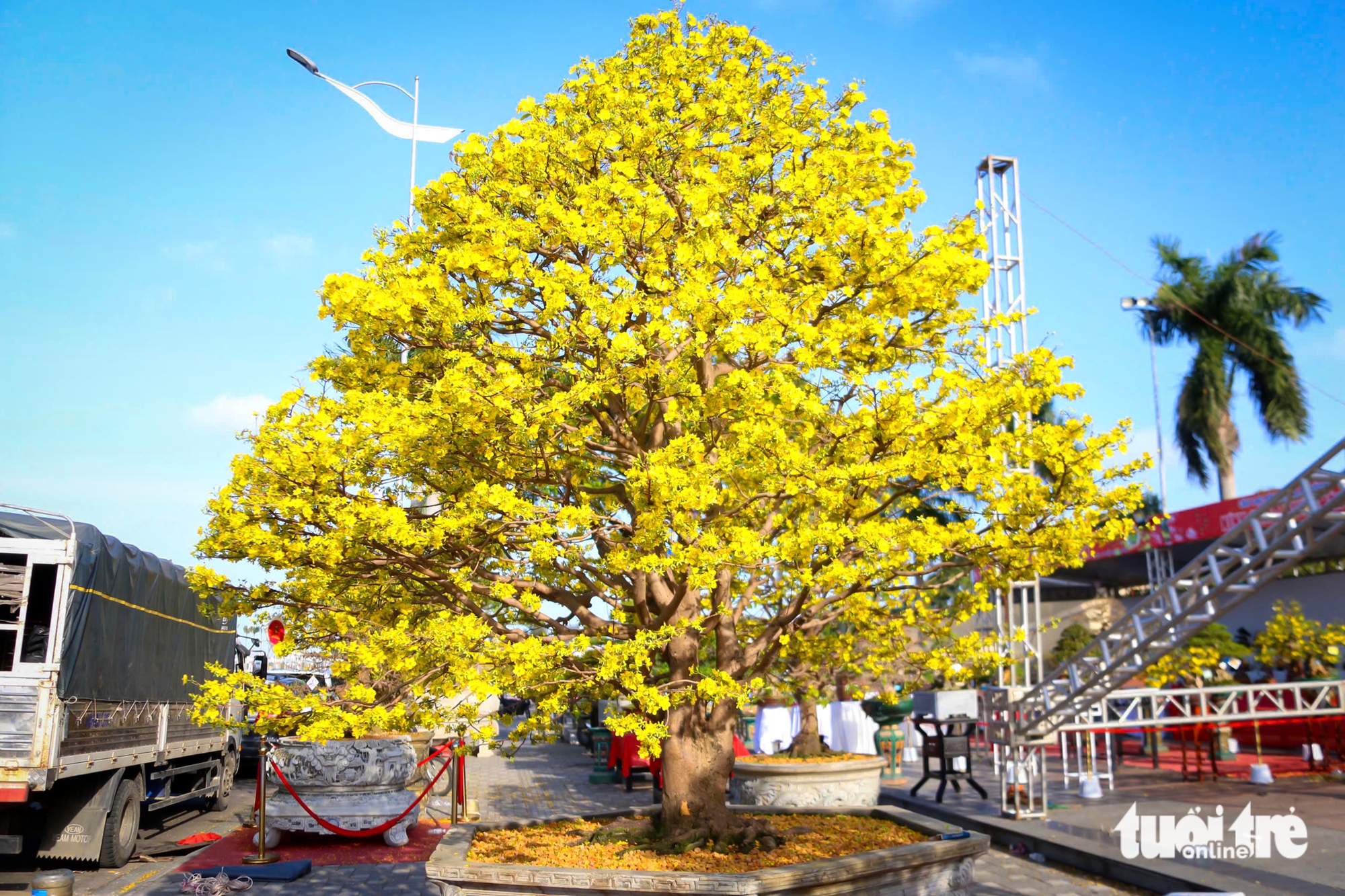 Đà Nẵng - Ảnh 1.