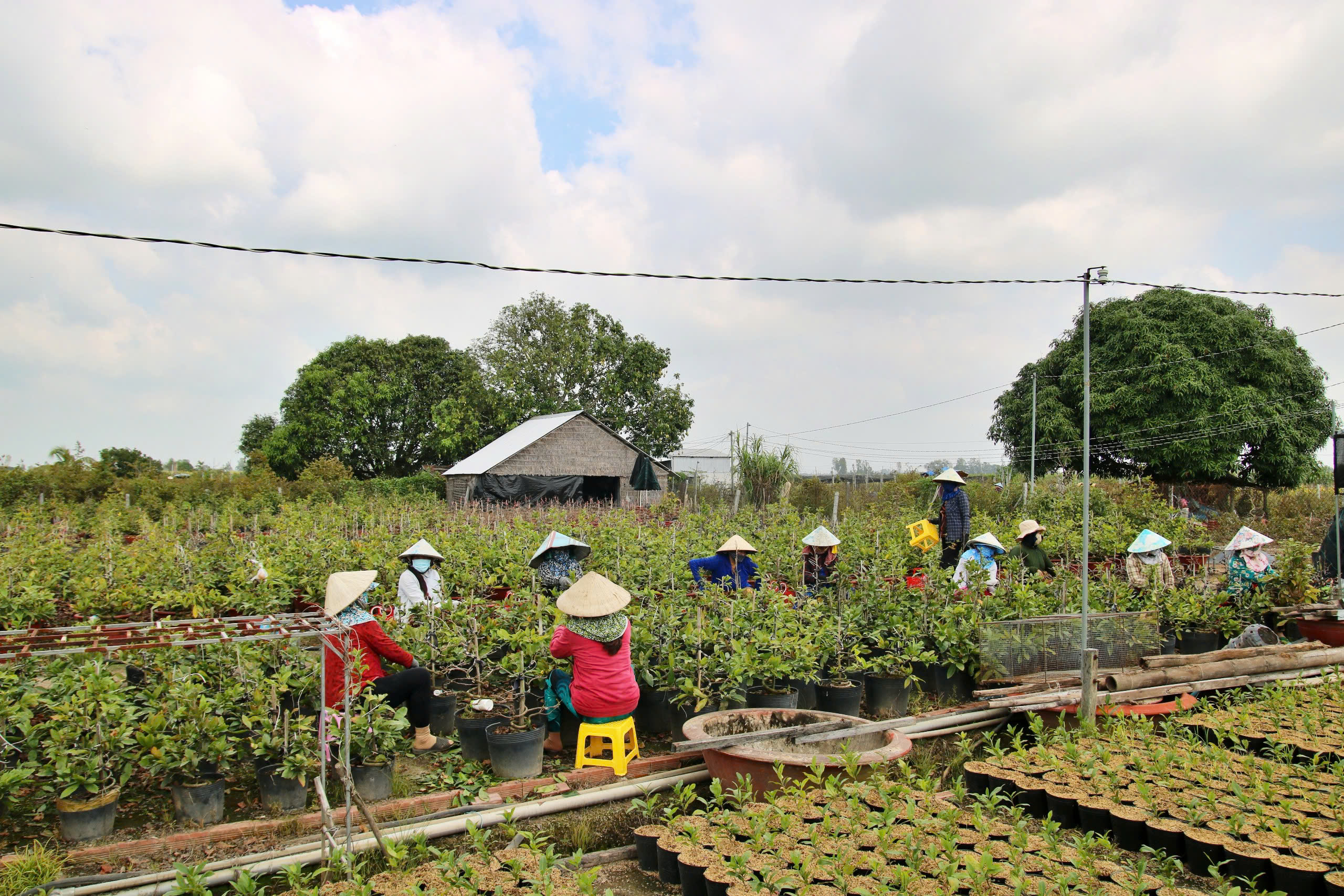 Mang mùa xuân đến cho nhiều lao động - Ảnh 1.