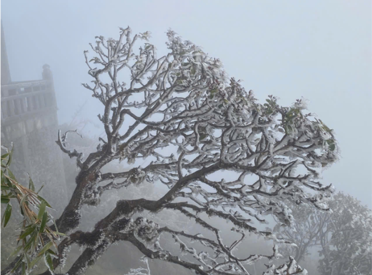 Miền Bắc đón đợt không khí lạnh mạnh bao phủ, khi nào rét đậm đạt đỉnh?- Ảnh 1.