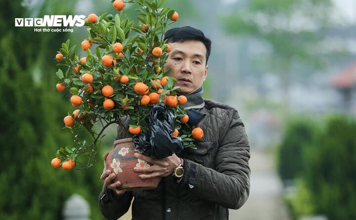 Dự báo thời tiết ngày 4/2: Miền Bắc rét đậm cục bộ, trưa chiều nắng ấm- Ảnh 1.