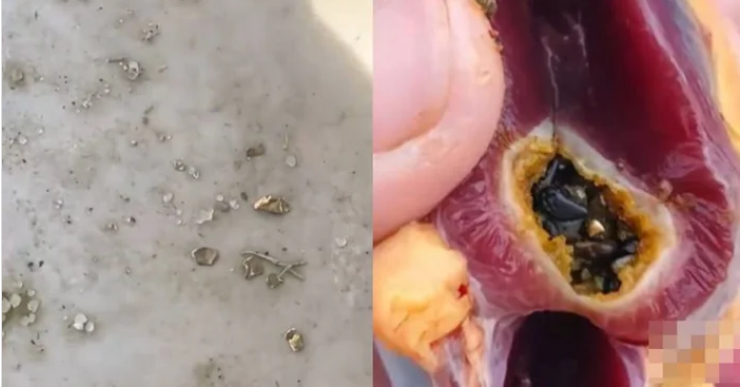 Mổ vịt cúng Tết, người đàn ông sững sờ nhận được “lì xì” trời ban- Ảnh 1.