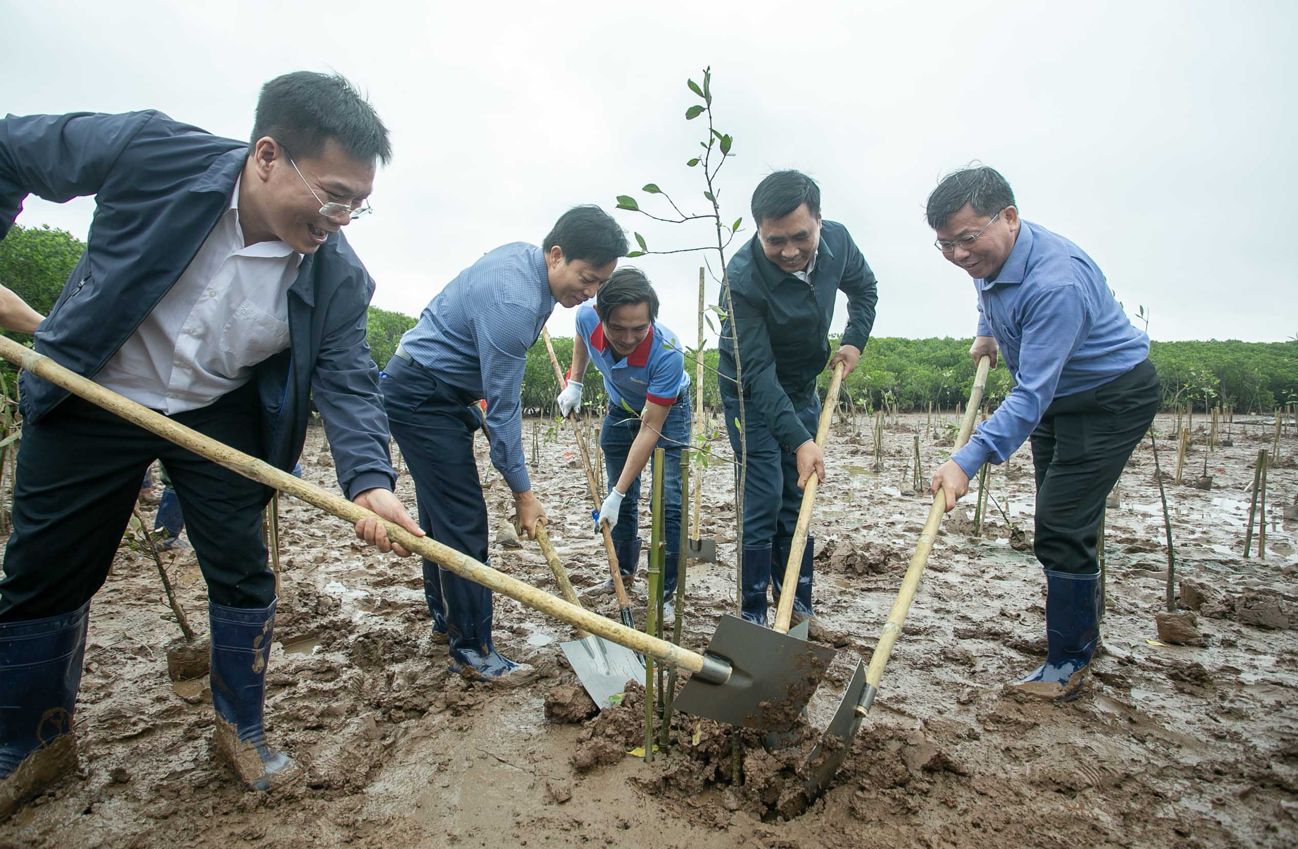 Mỗi cánh rừng được gây dựng là thêm một lớp phòng tuyến tự nhiên trước thiên tai 1 Mỗi cánh rừng được gây dựng là thêm một lớp phòng tuyến tự nhiên trước thiên tai - Ảnh 1.