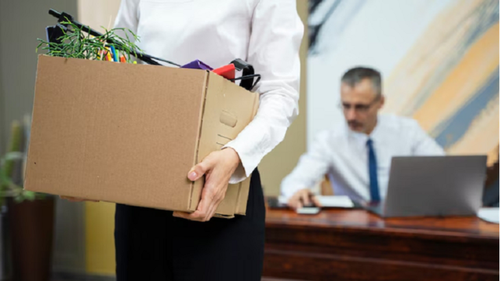 chuyển nghề - Ảnh 1.