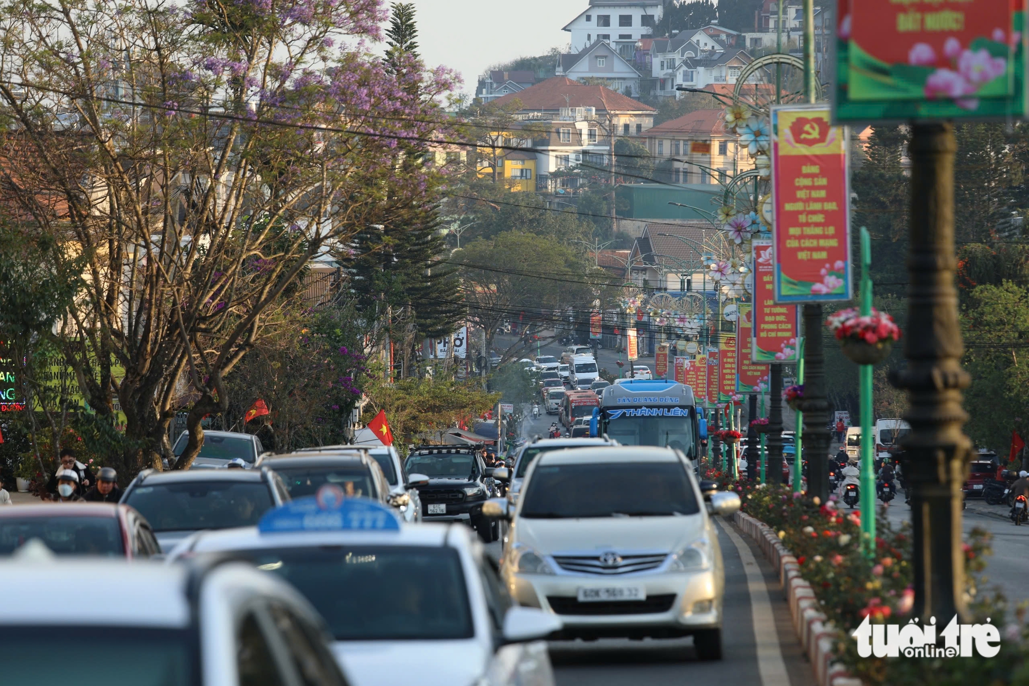 đà lạt - Ảnh 1.