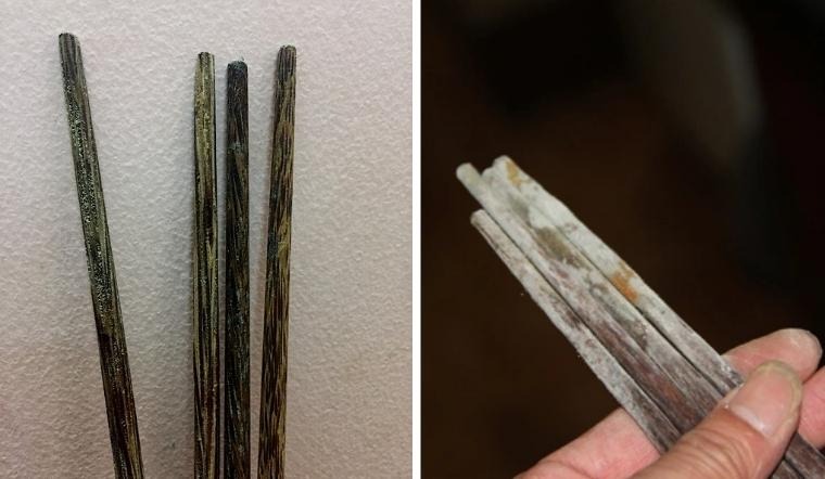 Kinh hoàng: Nấm mốc âm thầm Kinh hoàng: Nấm mốc âm thầm