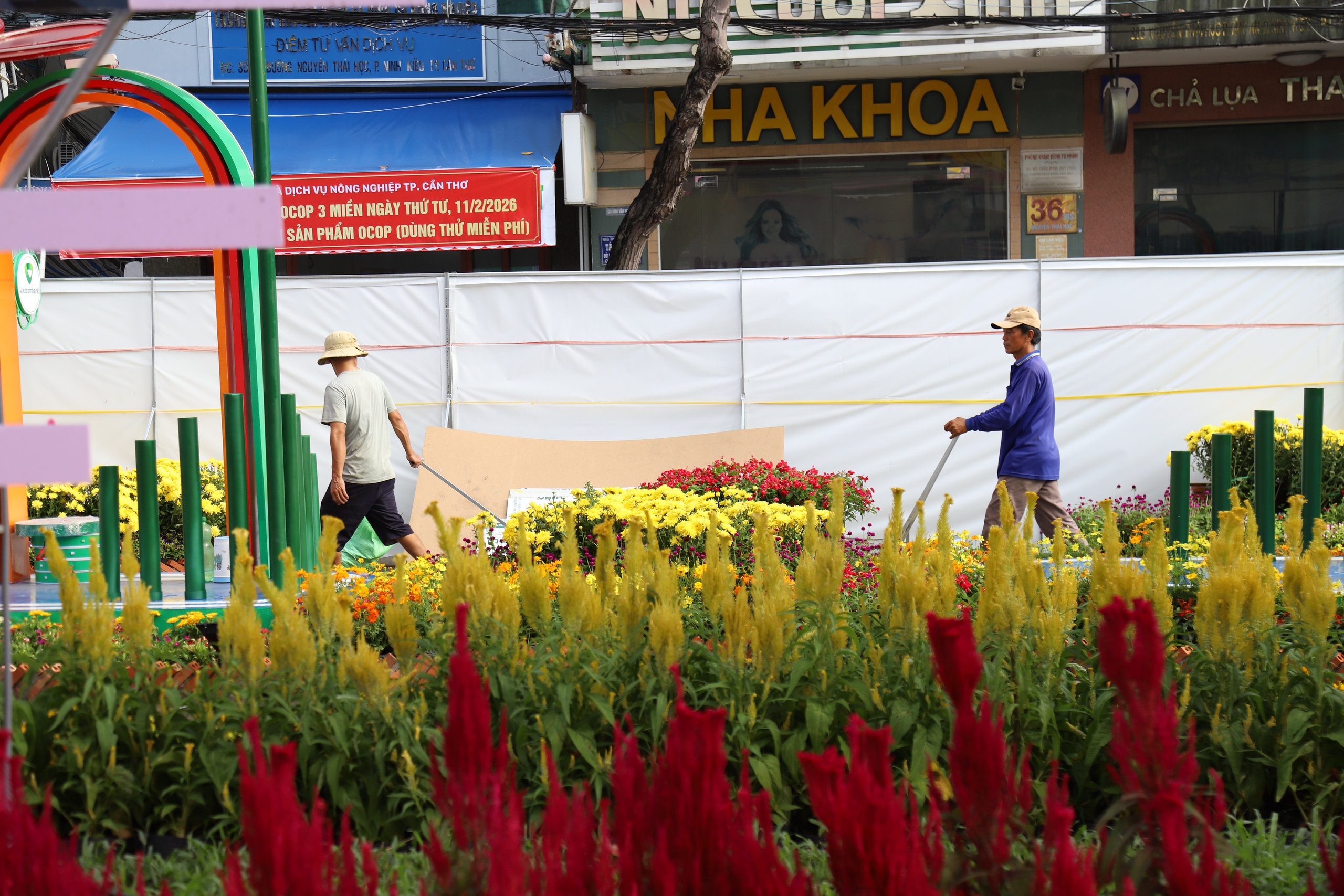 Đường hoa nghệ thuật - Ảnh 2.