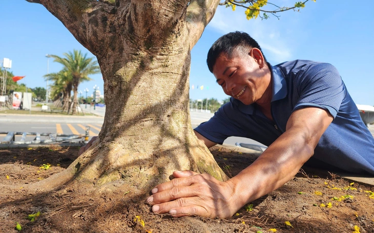 Mai vàng hội tụ, khoe sắc đón nghệ nhân, du khách thưởng lãm dịp đầu năm - Ảnh 16.