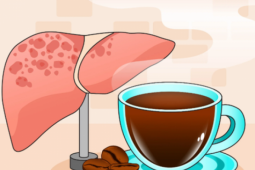Một loại đồ uống quen thuộc hỗ trợ cải thiện gan nhiễm mỡ