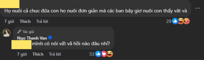 Ngô Thanh Vân phản pháo- Ảnh 4.