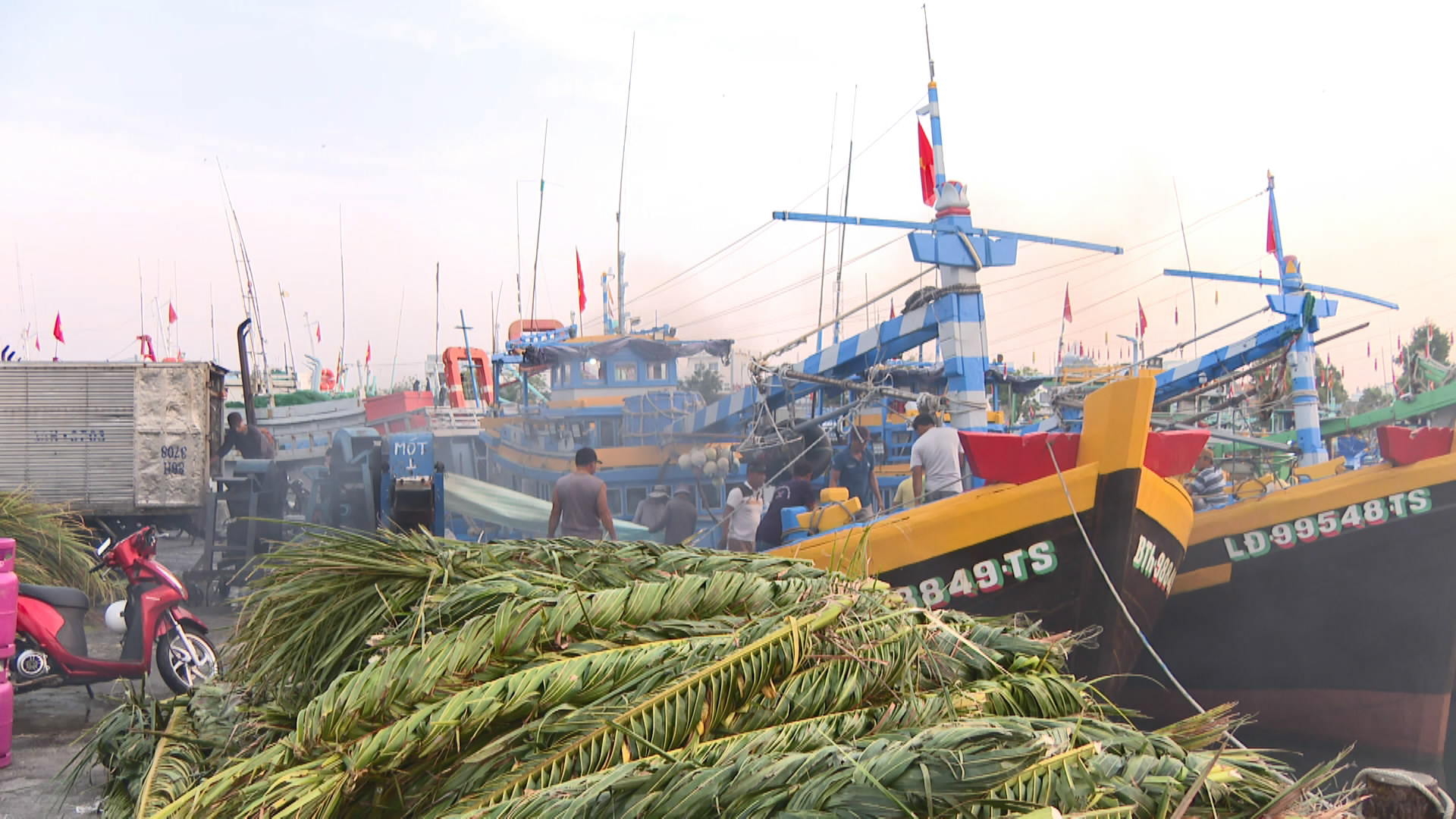 Ngư dân Lâm Đồng mở biển đầu năm 2026 với kỳ vọng mùa đánh bắt bội thu - Ảnh 1.