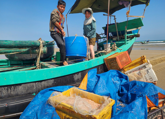 Ngư dân vận chuyển ruốc biển từ thuyền xuống bờ để bán cho thương lái. Ảnh: Đức Hùng
