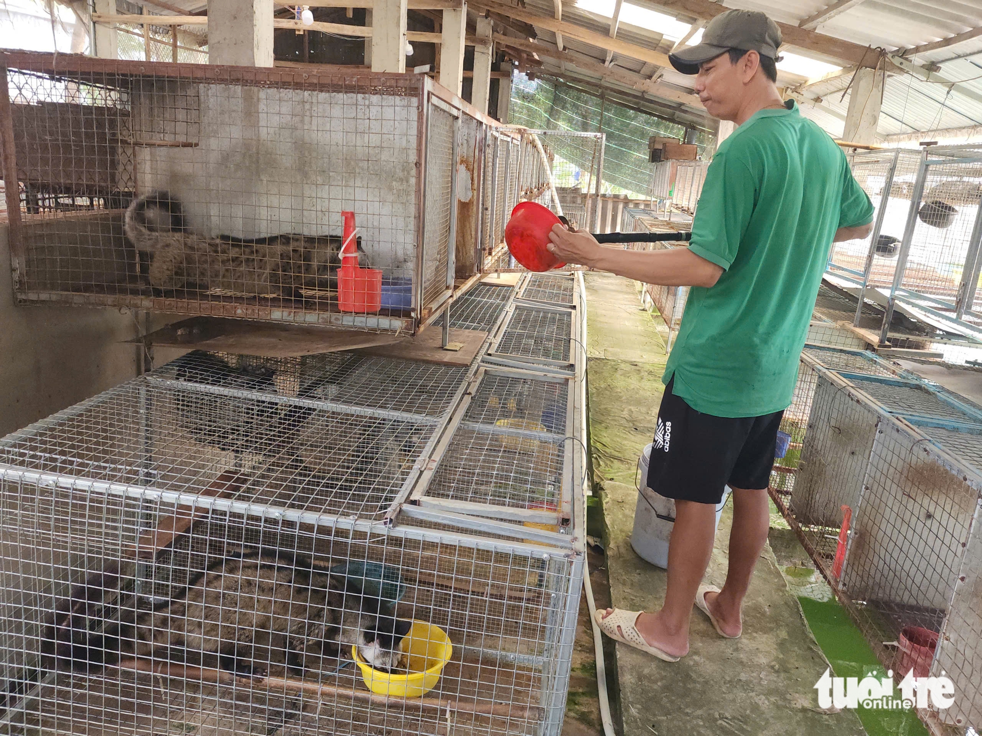 CHỒN HƯƠNG - Ảnh 1.