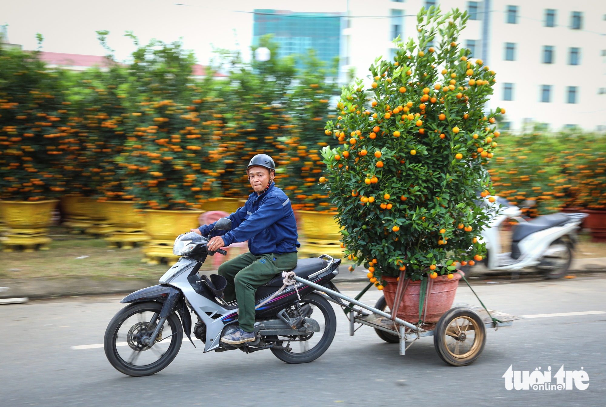 Đà Nẵng - Ảnh 1.