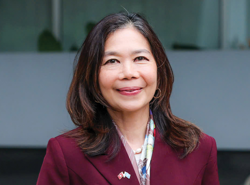 Việt Nam - Ảnh 1.