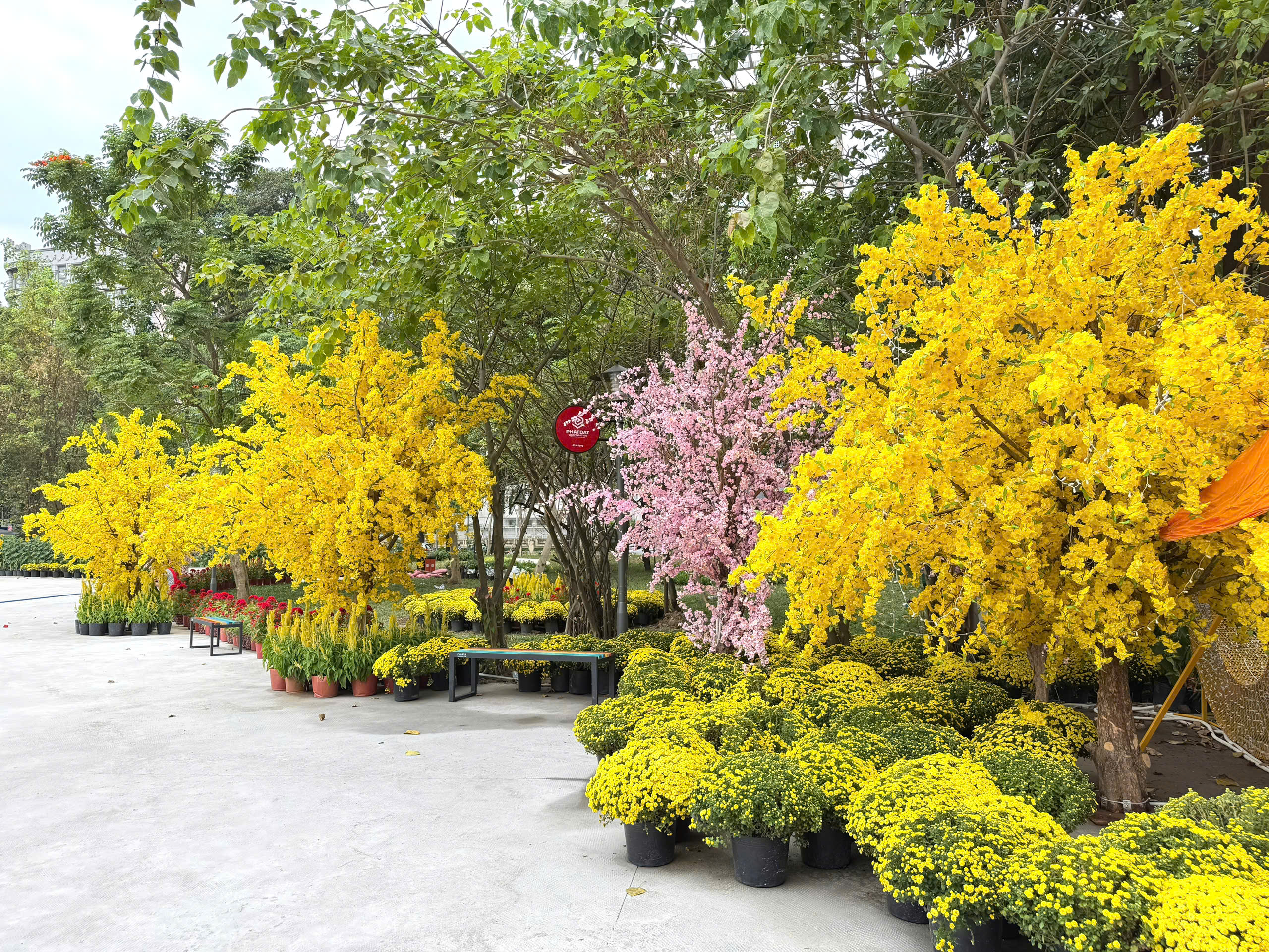 Nhiều công trình chỉnh trang đô thị bắt đầu mở cửa, TPHCM tràn ngập sắc xuân - Ảnh 1.