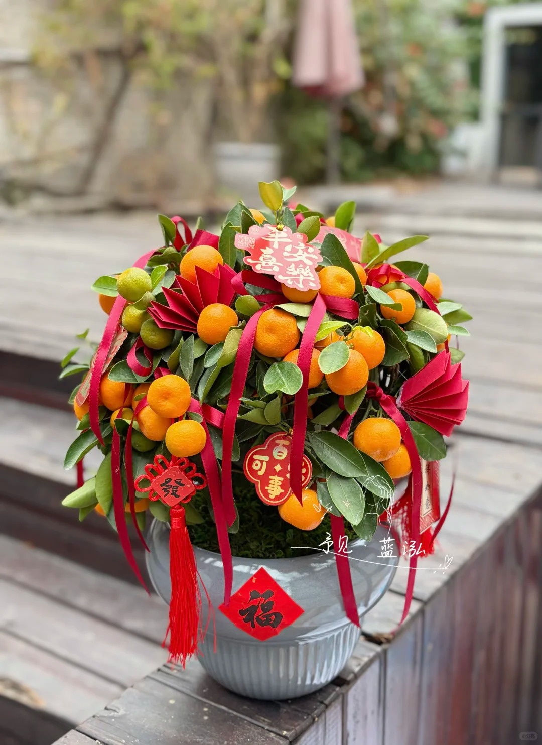 Chưa rinh chậu quất này coi như Tết vơi đi một nửa: Nhỏ thôi nhưng 