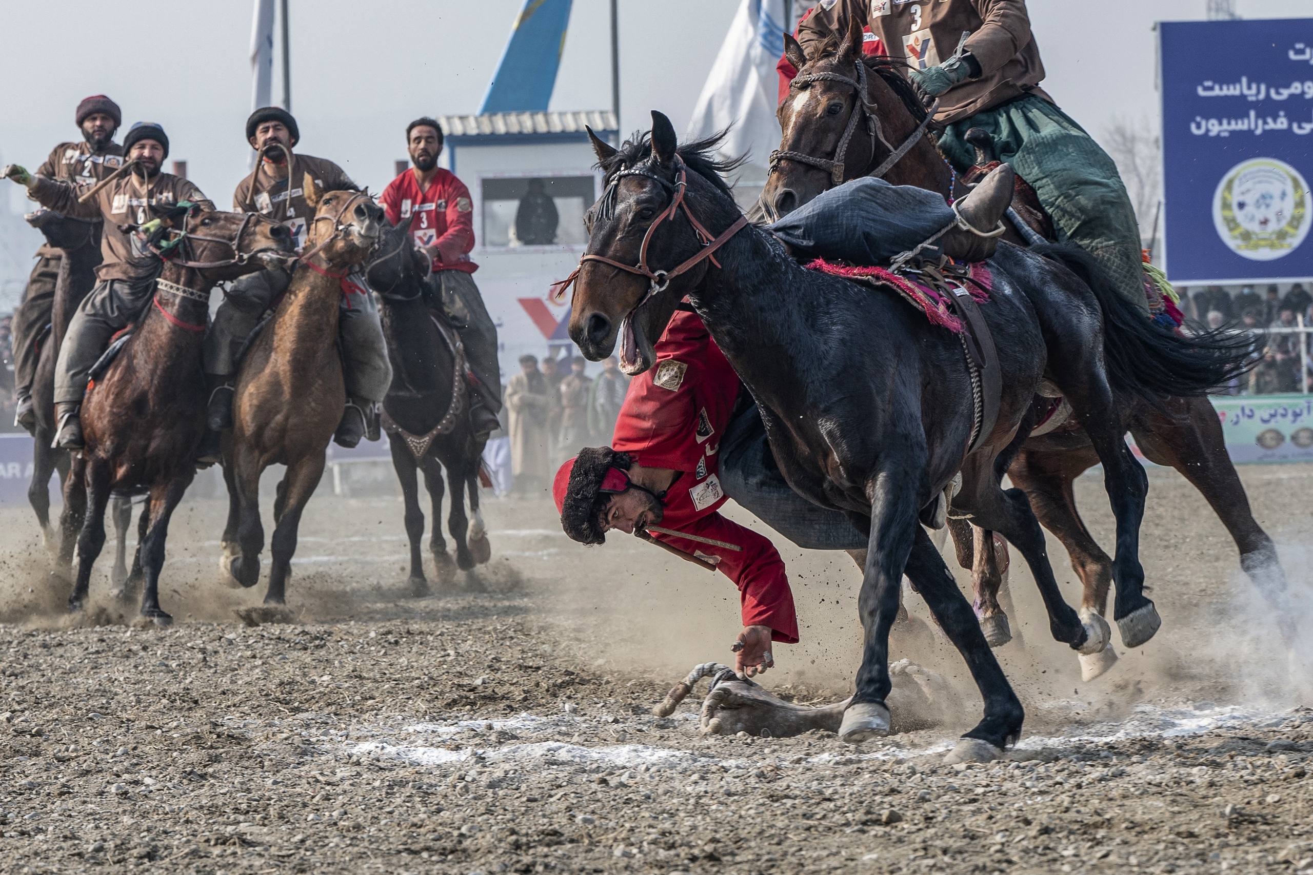 - Ảnh 1. - Ảnh 1.