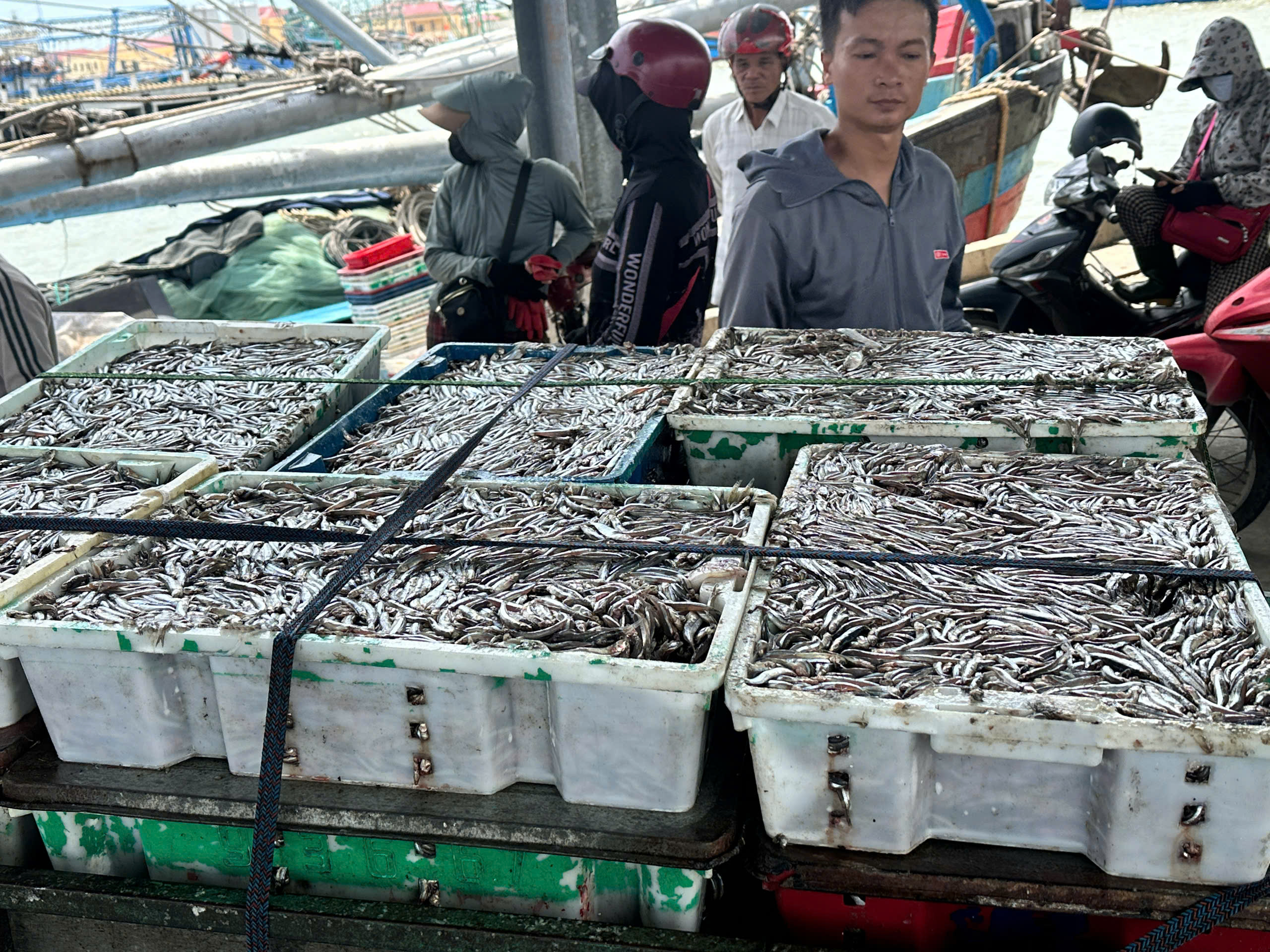 sức khỏe - Ảnh 1.