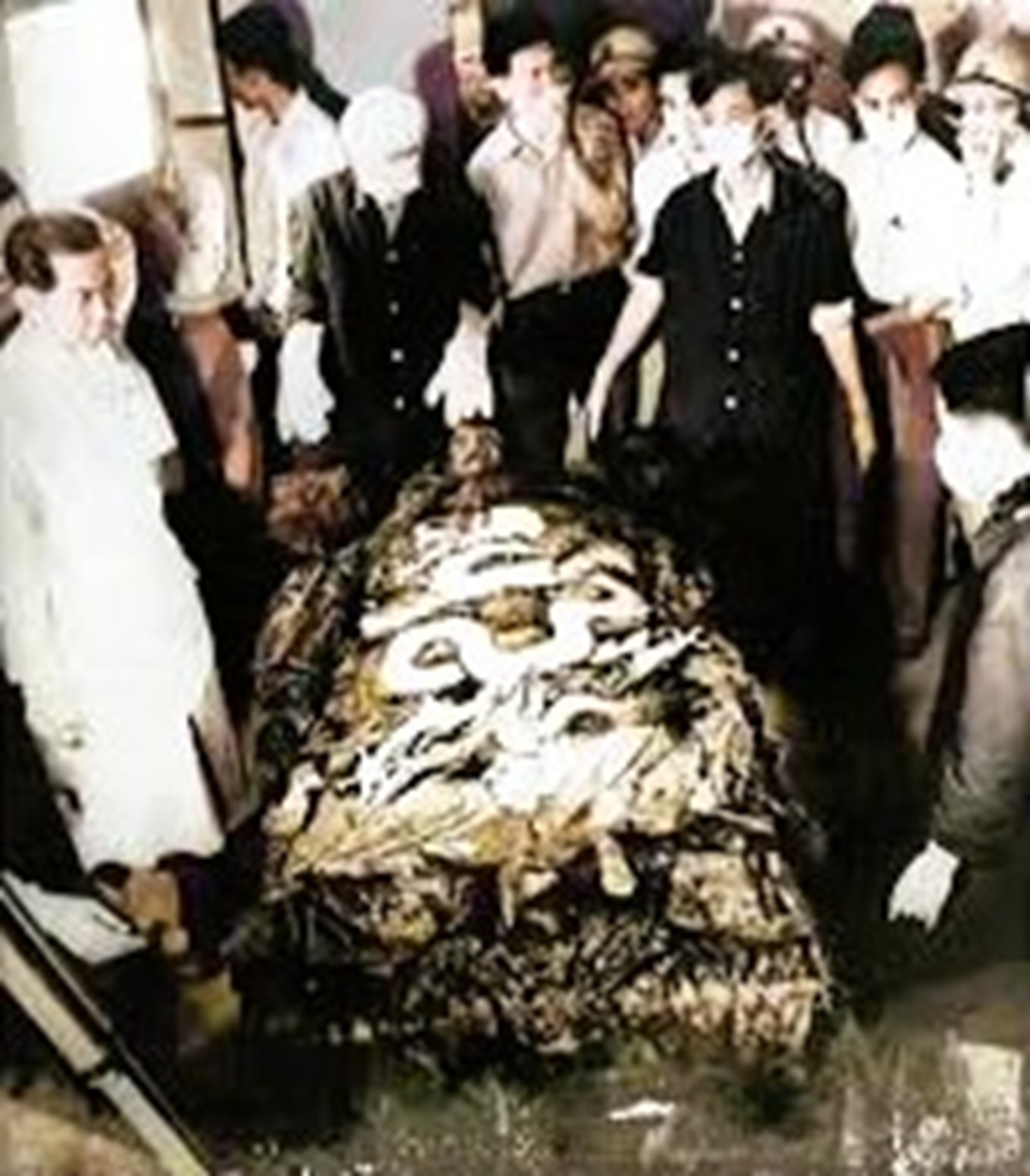 Nơi an nghỉ của vị vua 