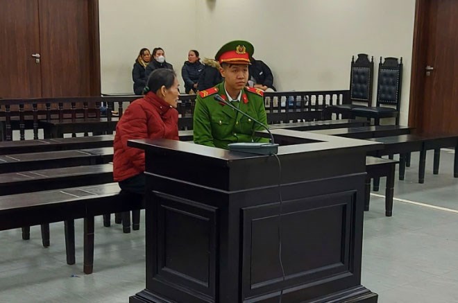 Nữ giúp việc 72 tuổi bị lĩnh án 18 năm tù- Ảnh 1.