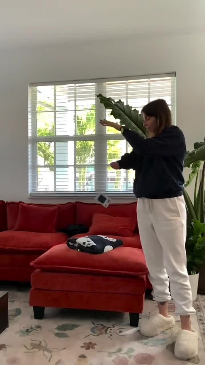 Nữ tài xế bị phạt vì nhắn tin bằng một bàn tay không tồn tại