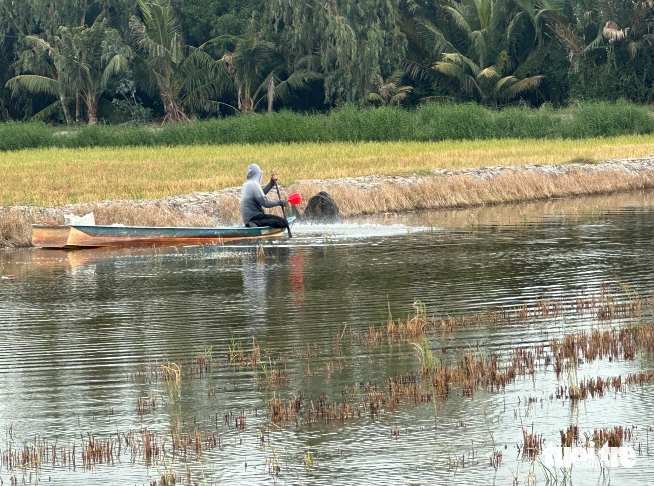 nước mặn - Ảnh 1.