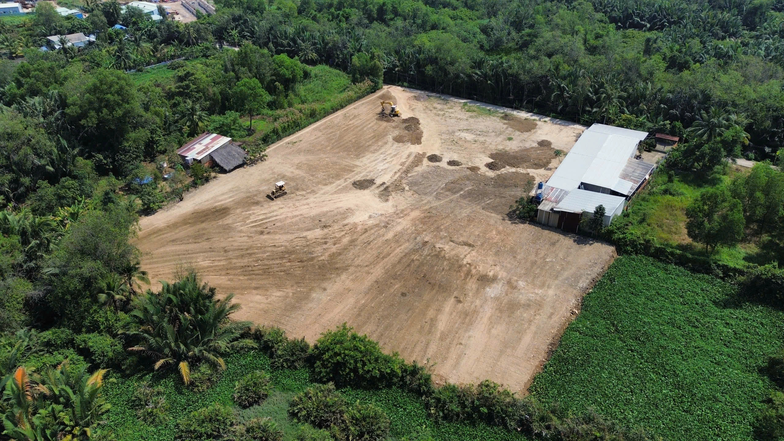 San lấp trái phép 1.800m2 giữa rừng cây ở TP.HCM: Chờ chủ đất về xử lý? - Ảnh 1.