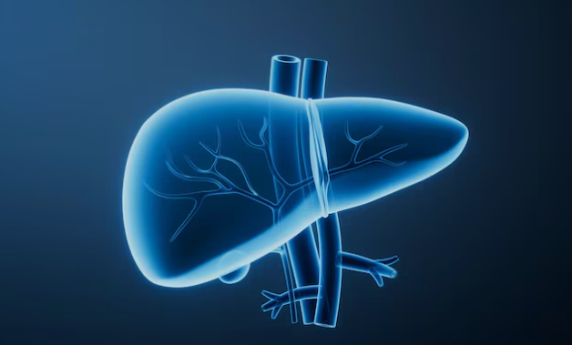 Pháp tạo 'gan tí hon' 3D từ tế bào người để thử độc - Ảnh 1.