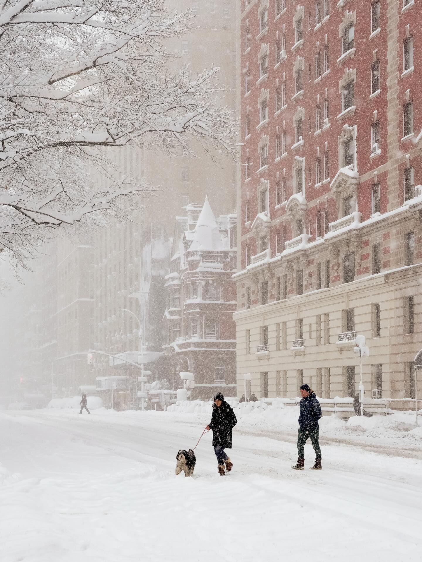 Phía sau khung cảnh New York trắng xóa như cổ tích những ngày này- Ảnh 1. Phía sau khung cảnh New York trắng xóa như cổ tích những ngày này- Ảnh 1.