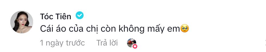 Phương Mỹ Chi nhập vai Tóc Tiên quậy banh MXH, chính chủ phải nhắc nhở 1 điều- Ảnh 3.