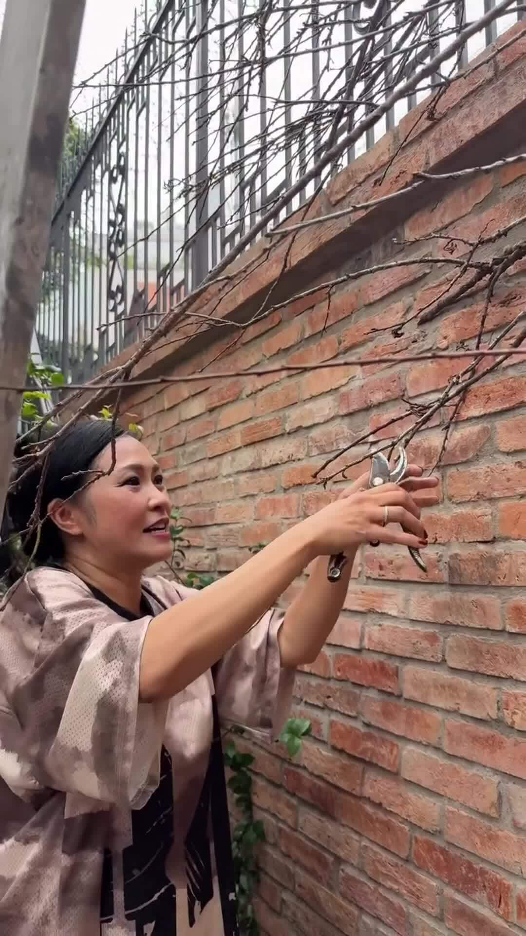 Phương Thanh cùng đội thợ dọn dẹp, trang trí nhà đón Tết