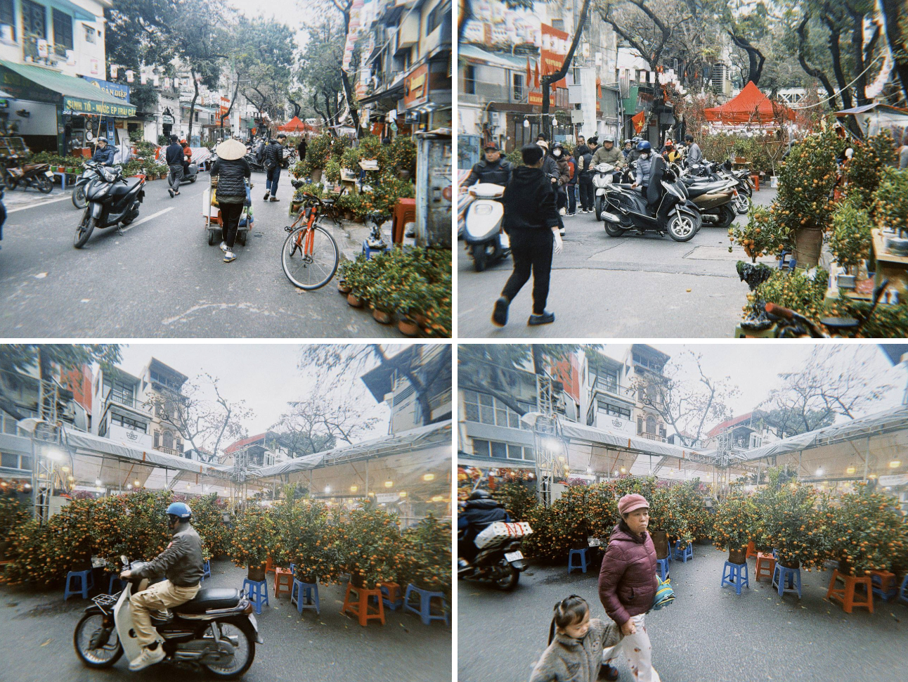 Chợ hoa cổ nhất Hà Nội ngày 23 tháng Chạp: Quất chum, quất mini 