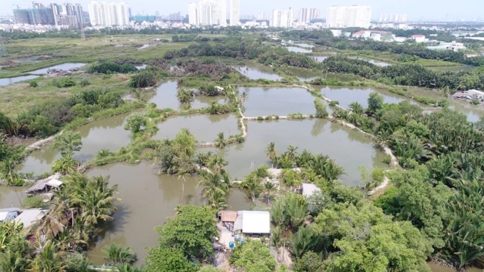 Khu đất thuộc dự án khu dân cư Bắc Phước Kiển. Ảnh: Quỳnh Trần