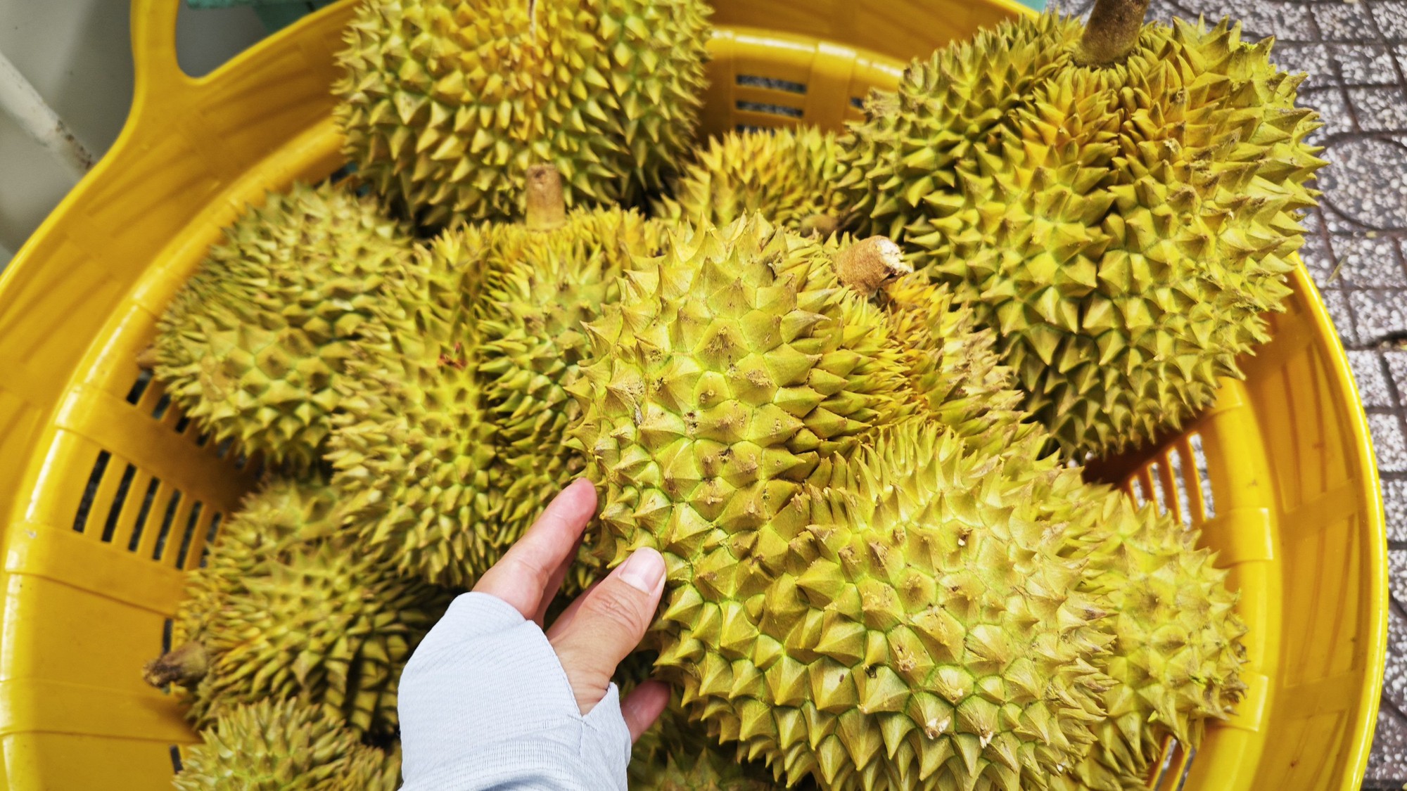 Quy định mới xuất khẩu nông sản vào Trung Quốc năm 2025 - Ảnh 1.