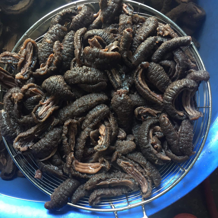 Hải sâm đen sau khi sơ chế. Ảnh: Nguyễn Sỹ Hiệp